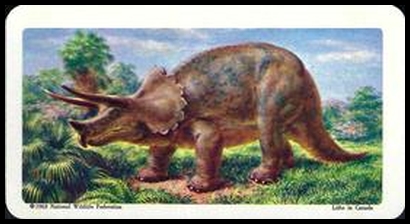 35 Triceratops
